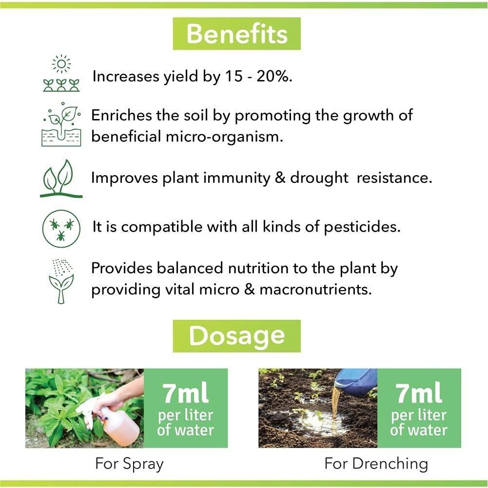 Yieldmax Plant Booster for All Crops, Organic (Pack of 2)